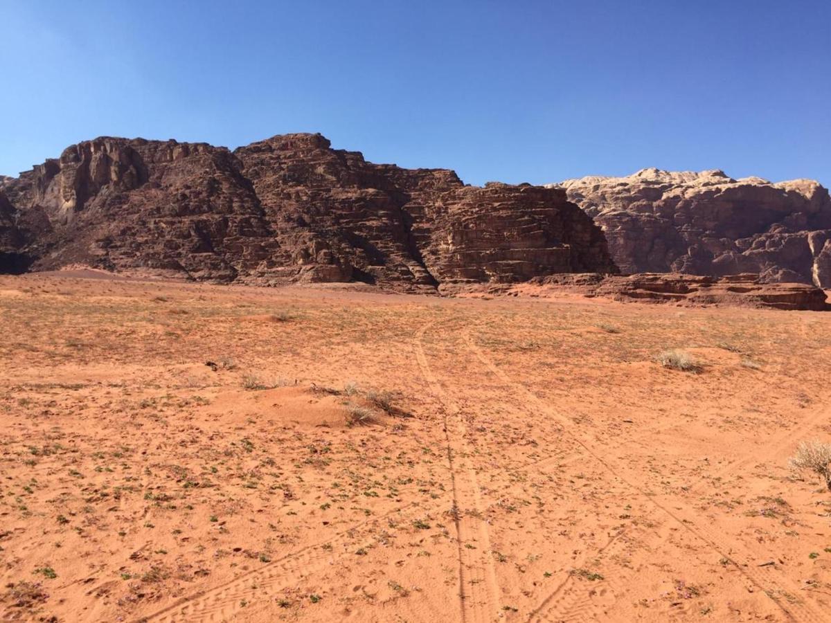 Wadi Rum Bedouin Experience Экстерьер фото